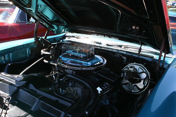 Nice model Nice model